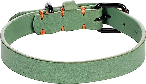 Halsband LEANO GRÜN S/M 31-39CM 20MM Halsband LEANO GRÜN S/M 31-39CM 20MM von Flamingo