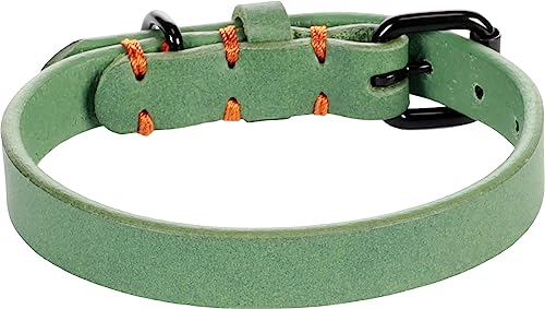 Halsband LEANO GRÜN XS/S 24-30CM 15MM von Flamingo