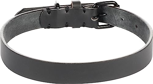 Halsband LEANO SCHWARZ L 43-53CM 25MM von Flamingo