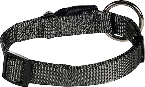 Halsband ZIGGI DUNKELGRAU S 30-45CM 15MM von Flamingo