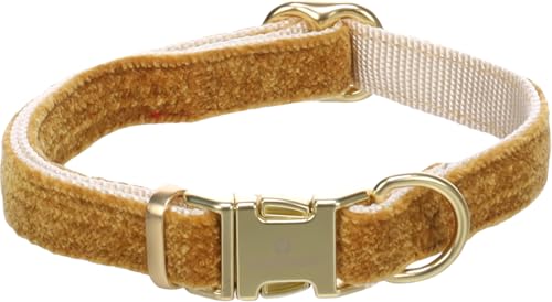Hund Halsband Saba Gelb S 30-45cm 15mm Hund Halsband Saba Gelb S 30-45cm 15mm von Flamingo
