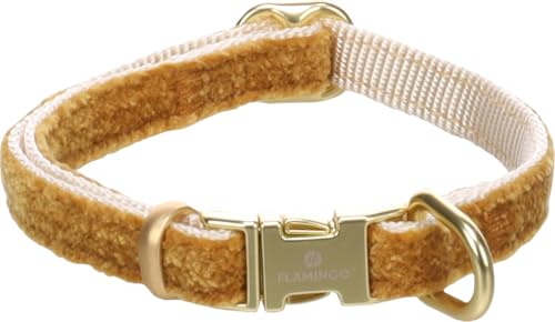 Hund Halsband Saba Gelb XS 20-35cm 10mm Hund Halsband Saba Gelb XS 20-35cm 10mm von Flamingo