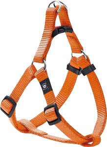 Geschirr Step&GO ZIGGI ORANGE M 35-60CM 20MM von Flamingo