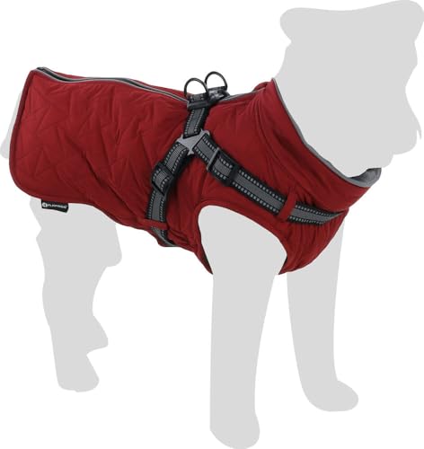 Flamingo Hundemantel Winter – Duker Rot – 45cm – warm & modisch – Polyester – wasserabweisend – Fleece-Innenfutter – integriertes verstellbares Geschirr – Reißverschluss oben – reflektierende Streifen Flamingo Hundemantel Winter – Duker Rot – 45cm – warm & modisch – Polyester – wasserabweisend – Fleece-Innenfutter – integriertes verstellbares Geschirr – Reißverschluss oben – reflektierende Streifen von Flamingo