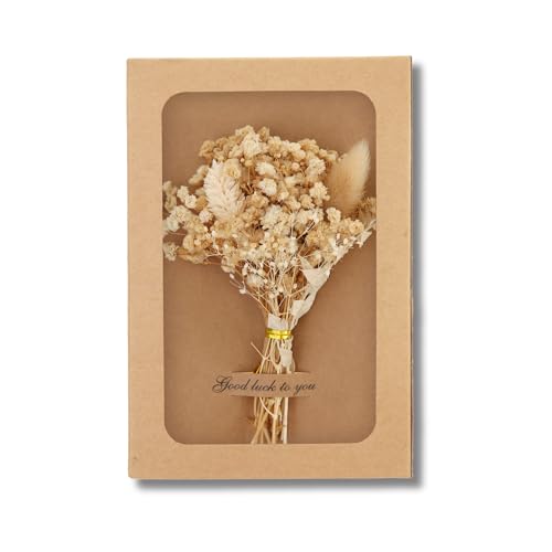 Flanacom Trockenblumen Deko in Geschenkbox Mini Blumenstrauß Klein Künstlich mit Grußwort (Beige) von Flanacom