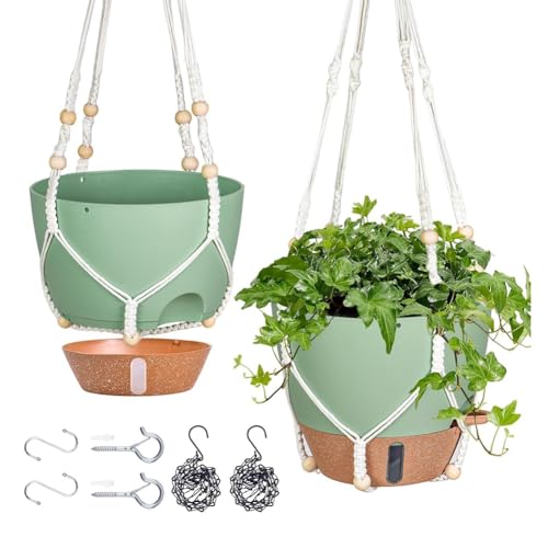 Flaroey 10 Hängepflanzgefäß für Zimmerpflanzen, 2er-Pack Selbstbewässernde Hängekörbe Blumentöpfe mit Abflussloch Grün Flaroey 10 Hängepflanzgefäß für Zimmerpflanzen, 2er-Pack Selbstbewässernde Hängekörbe Blumentöpfe mit Abflussloch Grün von Flaroey