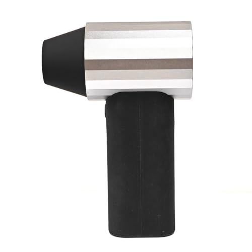 Flaroey X20 40MM 110000RPM Turbolüfter 30W Zweiwege-Schnelllade-Violentlüfter Laubbläser Autowasch-Lüfter Schwarz+Silber von Flaroey