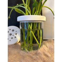 Blumenretter Mit Recycling Glas /Klarglas/Zu Jeder Jahreszeit Zu Bestücken von FlaschenhalsDesign