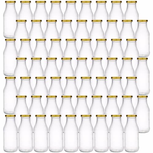 Flaschenland - 56 Glasflaschen 250 ml, Saftflaschen mit Twist-Off-Verschluss (breite Öffnung), Ideal zum Abfüllen heißer und kalter Säfte, Smoothie, Milch, Tee, Dressing oder Soßen | Made in Germany von Flaschenland