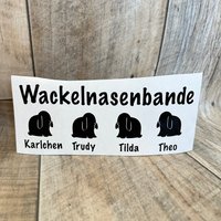 Aufkleber Personalisiert/Kaninchen Löwenkopf Schlappohr Minilop Namen Transportbox Auto Sticker Aufkleber Personalisiert/Kaninchen Löwenkopf Schlappohr Minilop Namen Transportbox Auto Sticker von FlauschWerkstatt