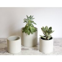 3Er Set Pflanzgefäße Mit Drainage Und Tabletts - Beton Indoor Pflanzgefäß Für Sukkulenten Kräuter Kakteen Einweihungsparty Geschenk 3Er Set Pflanzgefäße Mit Drainage Und Tabletts - Beton Indoor Pflanzgefäß Für Sukkulenten Kräuter Kakteen Einweihungsparty Geschenk von FleshandBlooms