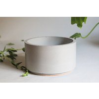 Beton Catchall Schale-Flacher Bonsai Pflanztopf-Schlüsselschale von FleshandBlooms