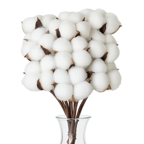 Flewdart 10 Stück trockenblumen Baumwolle Deko Natürlich Trockenblumen Deko, Baumwolle Blumen Dekoration für baumwollhochzeit Blumen Arrangements Heim Decor DIY Dekoration Home Party Flewdart 10 Stück trockenblumen Baumwolle Deko Natürlich Trockenblumen Deko, Baumwolle Blumen Dekoration für baumwollhochzeit Blumen Arrangements Heim Decor DIY Dekoration Home Party von Flewdart