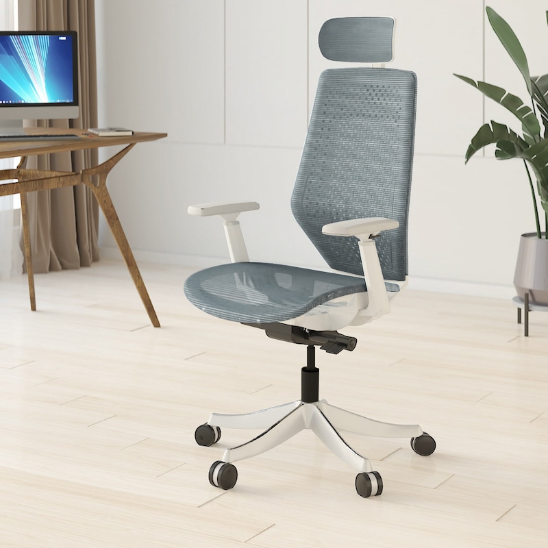 FLEXISPOT BS11Pro Ergonomischer Bürostuhl, Blau, Verstellbar, mit Lordosenstütze, Zuhause Büro höhenverstellbarer Stuhl von FlexiSpot