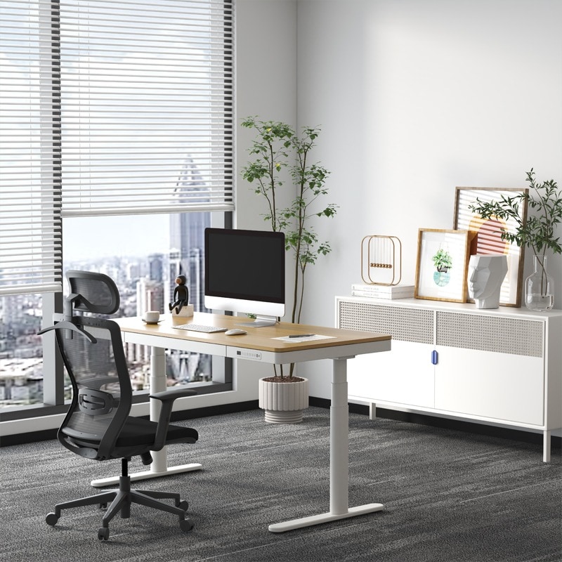 FlexiSpot BackSupport Bürostuhl BS3,Ergonomischer Stuhl für sitzende Büroarbeiter von FlexiSpot