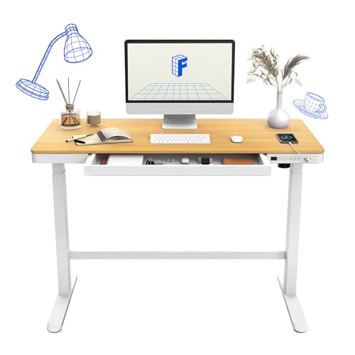 FLEXISPOT Elektrisch Höhenverstellbarer Schreibtisch mit Touch Funktion & USB, Elektrischer Schreibtisch mit Schublade, Bürotisch 120 * 60 cm (Maple) von FLEXISPOT