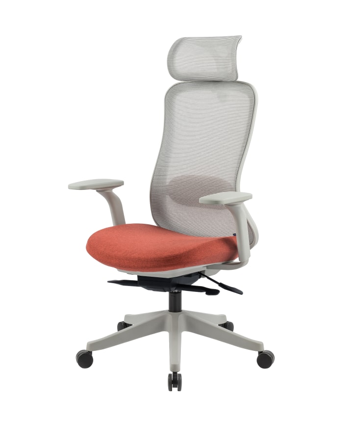 Ergonomischer Stuhl mit abnehmbarer Kopfstütze Bendex Ergonomischer Stuhl mit abnehmbarer Kopfstütze Bendex von Flexispot