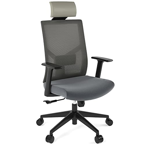 FLEXISPOT BS12 Bürostuhl Computerstuhl mit Armlehne bequemer Schreibtischstuhl Chefsessel Chefsessel Stuhl (Grau) von FLEXISPOT