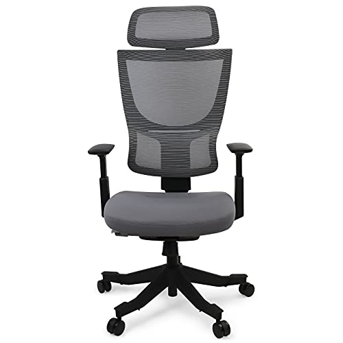FLEXISPOT BS8 Ergonomischer Bürostuhl, Schreibtischstuhl mit Lordosenstütze, 3D-Armlehnen und Einstellung der Sitztiefe, Office Stuhl BackSupport grau von FLEXISPOT