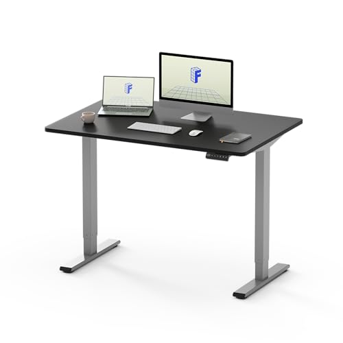 FLEXISPOT EF1 120x80cm Elektrisch Höhenverstellbarer Schreibtisch - Schnelle Montage, Memory-Handsteuerung - Sitz-Stehpult für Büro & Home-Office (schwarz, grau Gestell) von FLEXISPOT