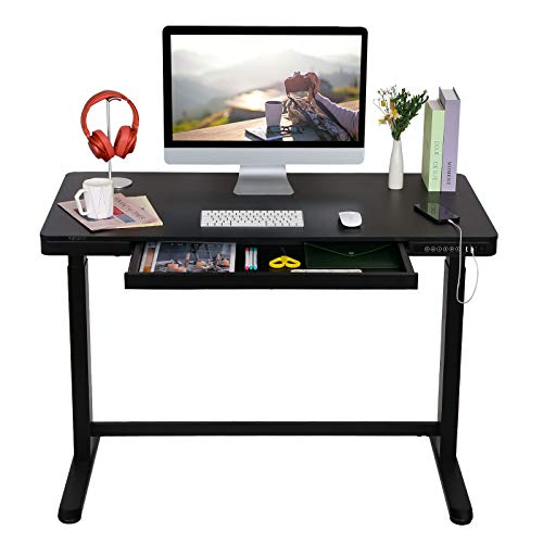 FLEXISPOT Elektrisch Höhenverstellbarer Schreibtisch mit Touch Funktion & USB, Elektrischer Schreibtisch (Schwarz+Schwarz Gestell) von FLEXISPOT