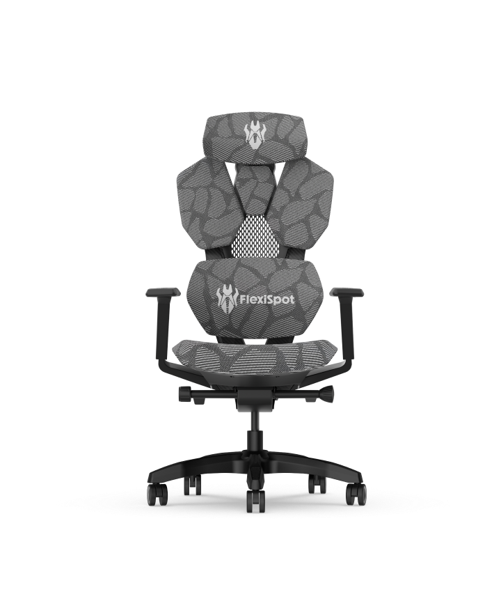Professioneller Gaming Stuhl mit Mech Design GC5 von Flexispot