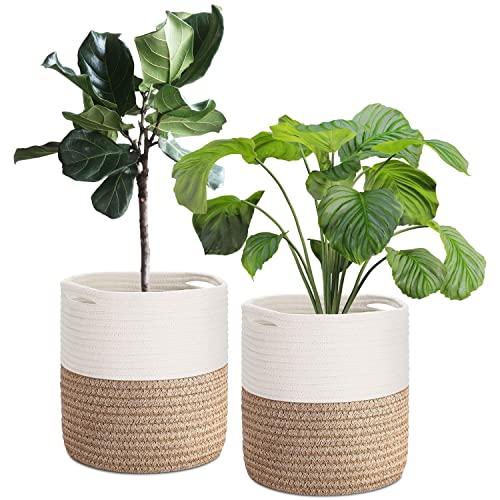 Flexzion Pflanzenkorb - Seilkorb-Pflanzer für Zimmerpflanzen - 0.2 x 0.2 m Moderner Dekorations- und Aufbewahrungskorb mit Griffen für Spielzeug, Decken, Töpfe Flexzion Pflanzenkorb - Seilkorb-Pflanzer für Zimmerpflanzen - 0.2 x 0.2 m Moderner Dekorations- und Aufbewahrungskorb mit Griffen für Spielzeug, Decken, Töpfe von Flexzion