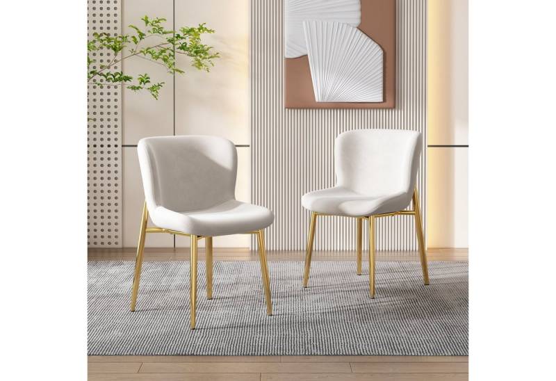 Flieks Esszimmerstuhl (2 St), 2er Set Polsterstuhl Wohnzimmer Schalenstuhl Samt, goldene Metallbeine von Flieks