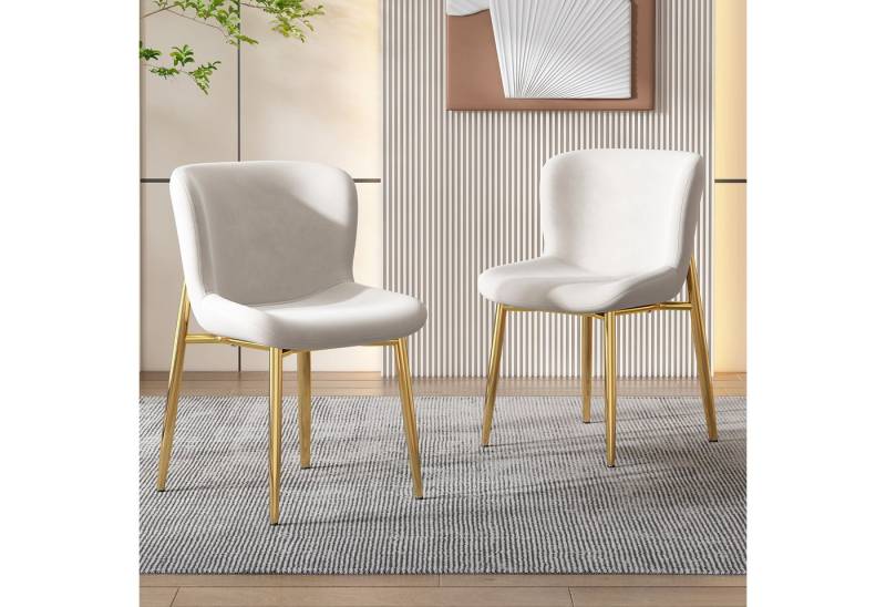 Flieks Esszimmerstuhl (Set, 2 St), 2er Set Polsterstuhl Wohnzimmer Schalenstuhl Samt, goldene Metallbeine von Flieks