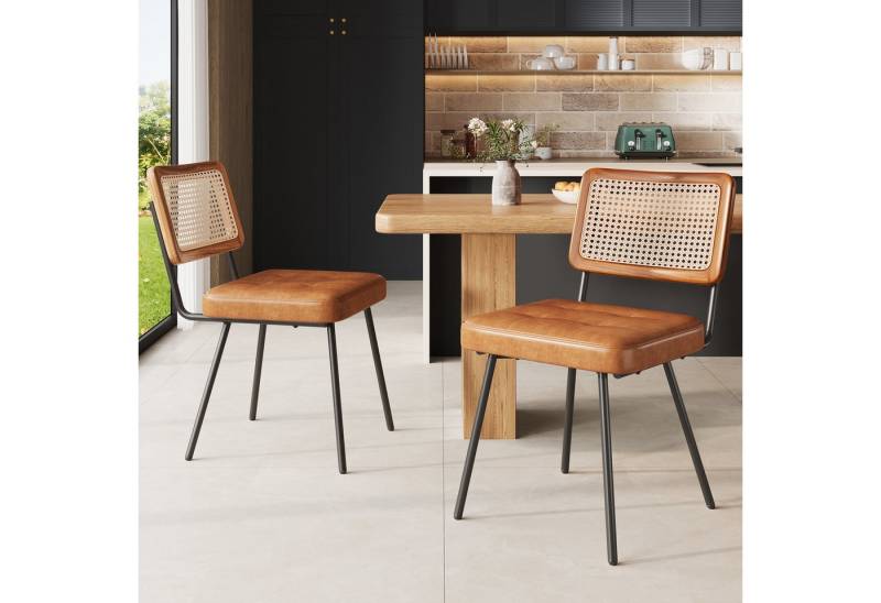 Flieks Esszimmerstuhl (Set, 2 St), 2er Set Rattanstühle Polsterstühle Wohnzimmer Kunstleder, Metallbeine von Flieks