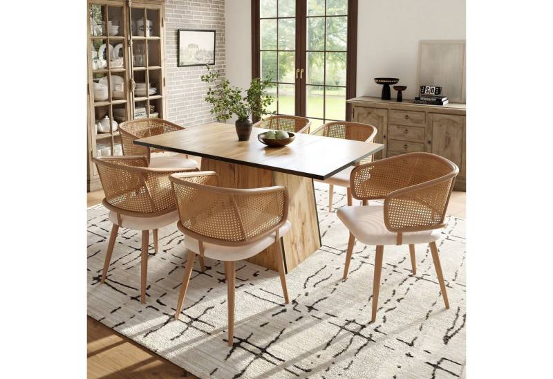Flieks Esszimmerstuhl (Set, Eisengestell, 6 St), 6er Set Polsterstühle mit Armlehnen Rattanstuhl Kunstleder Wohnzimmer von Flieks