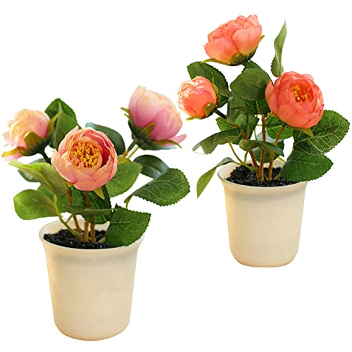 Flikool 2pcs Pfingstrose Künstlich Blumen im Plastiktopf 3 Blütenköpfe Päonie Kunstblumen Topfpflanze in Topf Roses Künstliche Pflanzen Gefälschte Künstlicher Bonsai in Töpfen Deko - Pink+Rot von Flikool