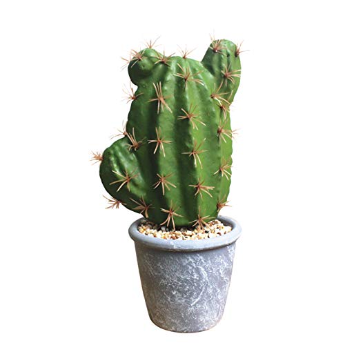 Flikool Kaktus Sukkulenten Künstlich im Topf Fälschung Kunstpflanze Bonsai Pflanzen Künstliche Blumen Dekorative Kunstblumen für Zuhause Balkon Dekor (Schaum Kaktus+Melamin Kunststoff Pot) - 1 von Flikool