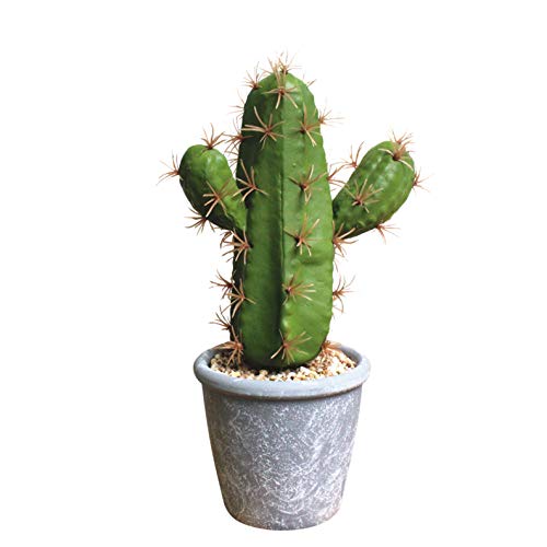Flikool Kaktus Sukkulenten Künstlich im Topf Fälschung Kunstpflanze Bonsai Pflanzen Künstliche Blumen Dekorative Kunstblumen für Zuhause Balkon Dekor (Schaum Kaktus+Melamin Kunststoff Pot) - 2 von Flikool