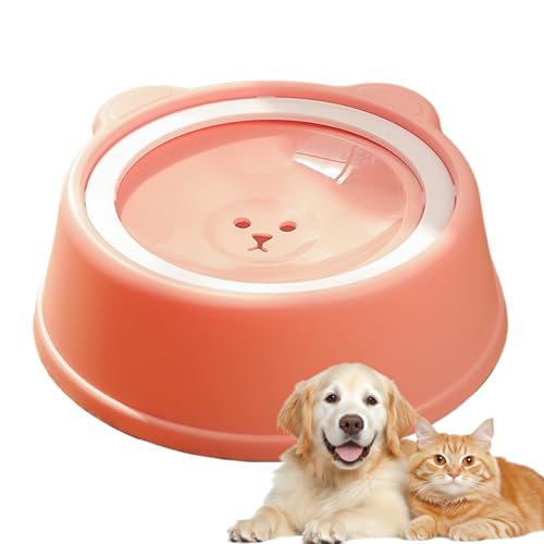 Haustier Wassernapf - Anti-Schlabbern Trinknapf Mit Slow Feeder | Schwimmender Hundenapf Mit rutschfest - Für Mehrkatzenhaushalte Reise Auto Transportbox Welpen Kitten Katzen Besitzer Haustier Wassernapf - Anti-Schlabbern Trinknapf Mit Slow Feeder | Schwimmender Hundenapf Mit rutschfest - Für Mehrkatzenhaushalte Reise Auto Transportbox Welpen Kitten Katzen Besitzer von Flkiglm