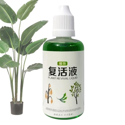 Wurzelstimulator,Dünger Für Zimmerpflanzen | 50ml Biologische Lösung Schnelles Wachstum Sicher Für Kompost Bäume Rosen Rasen Hydrokultur Tomaten Blumen Früchte Stecklinge Wurzelstimulator,Dünger Für Zimmerpflanzen | 50ml Biologische Lösung Schnelles Wachstum Sicher Für Kompost Bäume Rosen Rasen Hydrokultur Tomaten Blumen Früchte Stecklinge von Flkiglm
