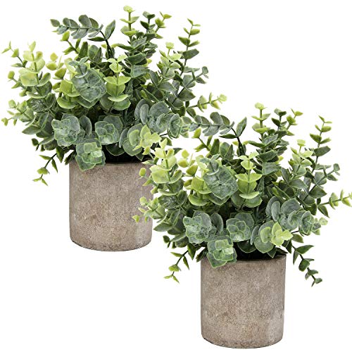 Flojery Mini Topfpflanzen künstlicher Eukalyptus Grün in Töpfen kleine Zimmerpflanzen für Greenery Tabletop Décor Herzstück,Gesprühter Eukalyptus von Flojery