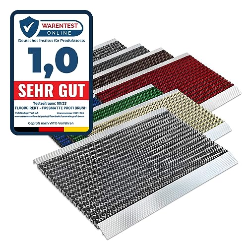 Floordirekt PRO Repräsentative Fußmatte Profi Brush - Testurteil Sehr Gut - Schmutzfangmatte mit Alu Rahmen für außen und innen - Verschiedene Bürsten Farben und Größen (40x60cm Blau) von Floordirekt PRO