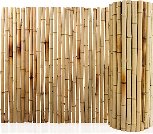 Floordirekt Bambus-Sichtschutzzaun 180 cm hoch x 200cm Naturmaterial Vollrohr Schilfrohrmatte | Schilfmatten Sichtschutz für Balkon, Terrasse oder Garten | Robust und witterungsbeständig von Floordirekt