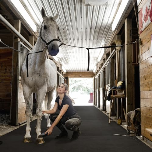 Floordirekt Stallmatte aus Gummi - 100 x 200 cm - 3mm Stärke - wasserdichte Gummimatte für Stall, Pferdebox, Paddock - Pferdematten rutschfest & gelenkschonend (GW3006) von Floordirekt