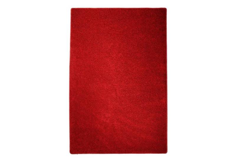 Floordirekt Hochflor-Teppich Shaggy, Erhältlich in 10 Farben & 4 Größen, Teppich, Teppichläufer, rechteckig von Floordirekt