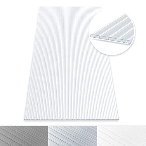 Floordirekt Hohlkammerplatte - Stegplatten Doppelstegplatten aus Polycarbonat - für Garten, Gewächshaus & Modellbau - witterungsbeständig & lichtdurchlässig - 60,5 x 121 cm (Verbinder: 6 mm) von Floordirekt