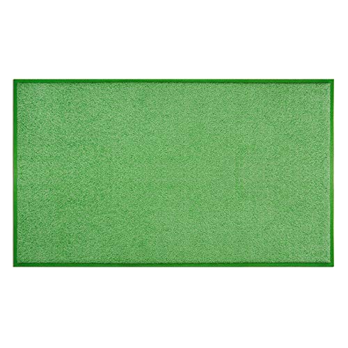 Floordirekt Schmutzfangmatte Sky Color | Sauberlaufmatte mit farblich abgestimmtem Gummirand | Strapazierfähig & rutschfest | viele Farben (50 x 85 cm, Grün) von Floordirekt
