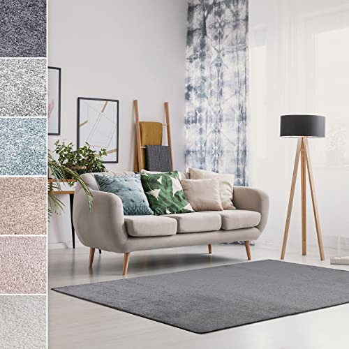 Floordirekt Velours-Teppich Sundae - moderner Teppich für Wohnzimmer Schlafzimmer - Flauschiger Wohnteppich der Extraklasse - Super Soft (Anthrazit, 80 x 100 cm) von Floordirekt