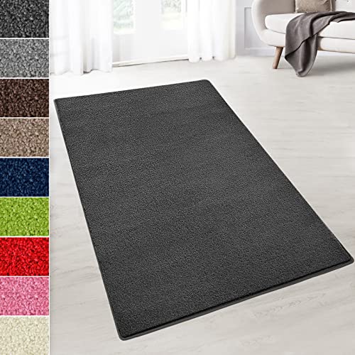 Floordirekt Velours-Teppich auf Maß - Flauschiger Teppichläufer für Küche, Flur, Wohnzimmer - Teppich Meterware Dynasty (Anthrazit, 200 x 100 cm) von Floordirekt