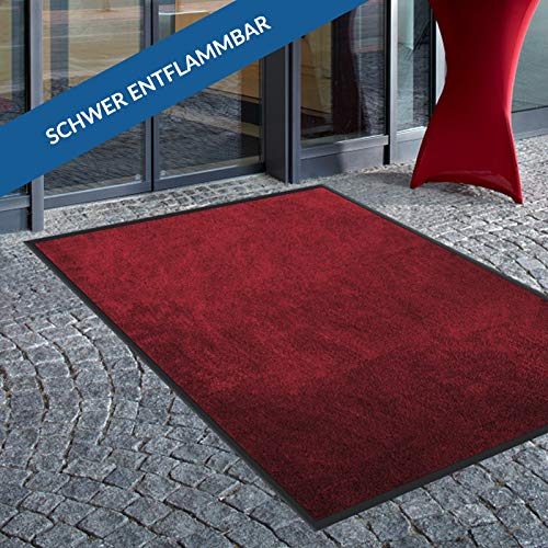 Sauberlaufmatte Brillant für Eingangsbereiche | Bicolor | Objektqualität | saugstarke Schmutzfangmatte aus Polyamid | rutschfest | waschbar | zahlreiche Größen | viele Farben (Rot, 200x300 cm) von Floordirekt