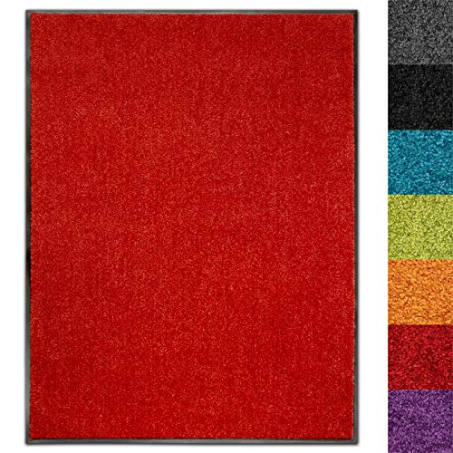 Schmutzfangmatte Use&Wash - Türmatte Sauberlaufmatte Fußabtreter - Fussmatte Teppich - für Flur Eingang Eingangsbereich - rutschfest & waschbar (200 x 200 cm, Rot 15) von Floordirekt