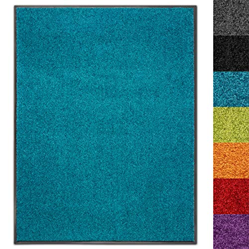 Schmutzfangmatte Use&Wash - Türmatte Sauberlaufmatte Fußabtreter - Fussmatte Teppich - für Flur Eingang Eingangsbereich - rutschfest & waschbar (200 x 300 cm, Türkis 27) von Floordirekt