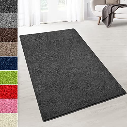 Floordirekt Velours-Teppich auf Maß - Flauschiger Teppichläufer für Küche, Flur, Wohnzimmer - Teppich Meterware Dynasty (Anthrazit, 240 x 300 cm) von Floordirekt