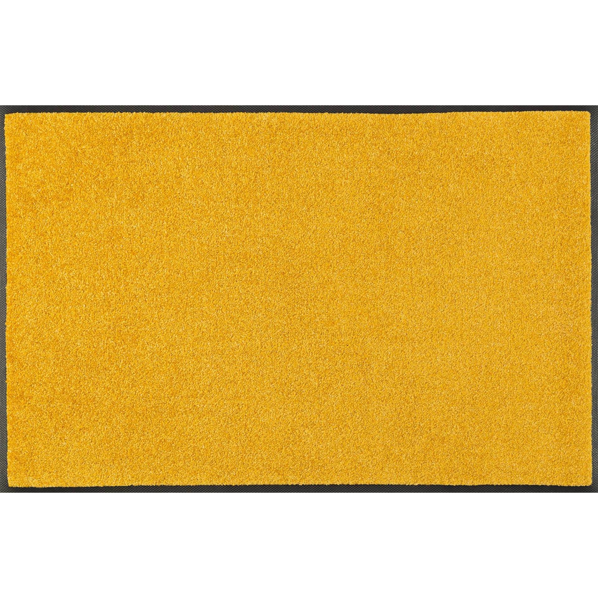 Fußmatte Goldschimmer Schmutzfangmatte waschbar verschiedene Floornovo Classic Decor & Uni Color Fußmatte Goldschimmer Schmutzfangmatte waschbar verschiedene Floornovo Classic Decor & Uni Color von Floornovo